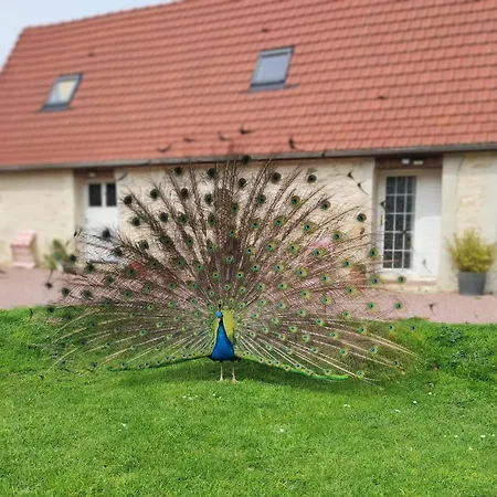 La Ferme De Frevan Sarceaux Extérieur photo