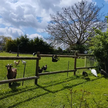 La Ferme De Frevan Sarceaux Extérieur photo