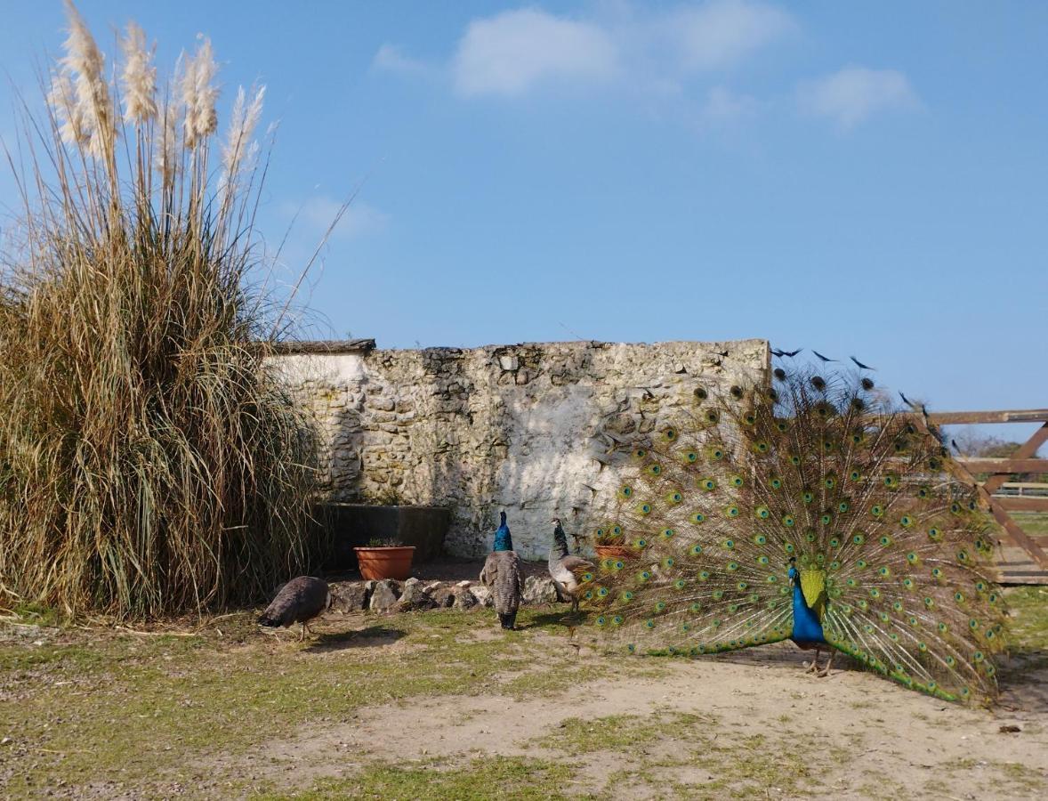 La Ferme De Frevan Ferienhaus *