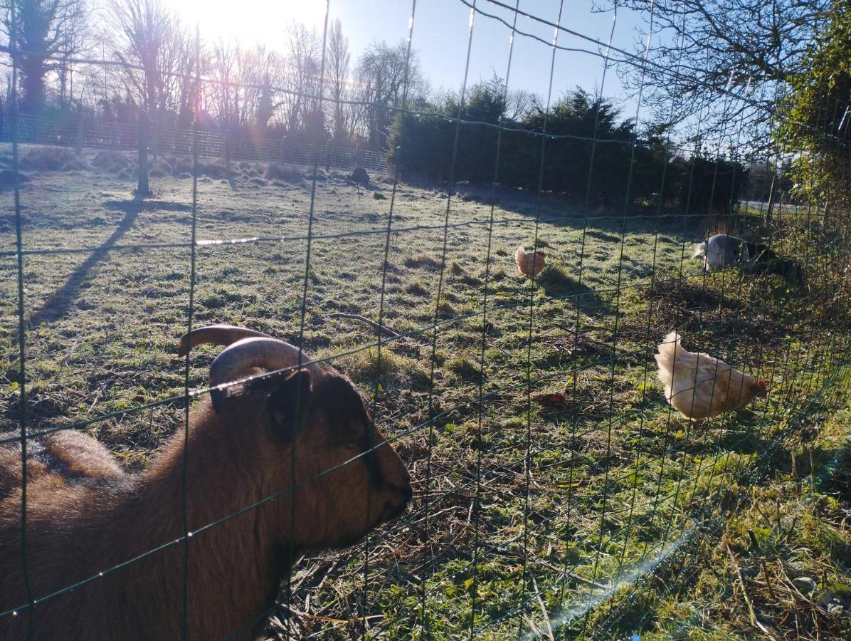 La Ferme De Frevan Hébergement de vacances *