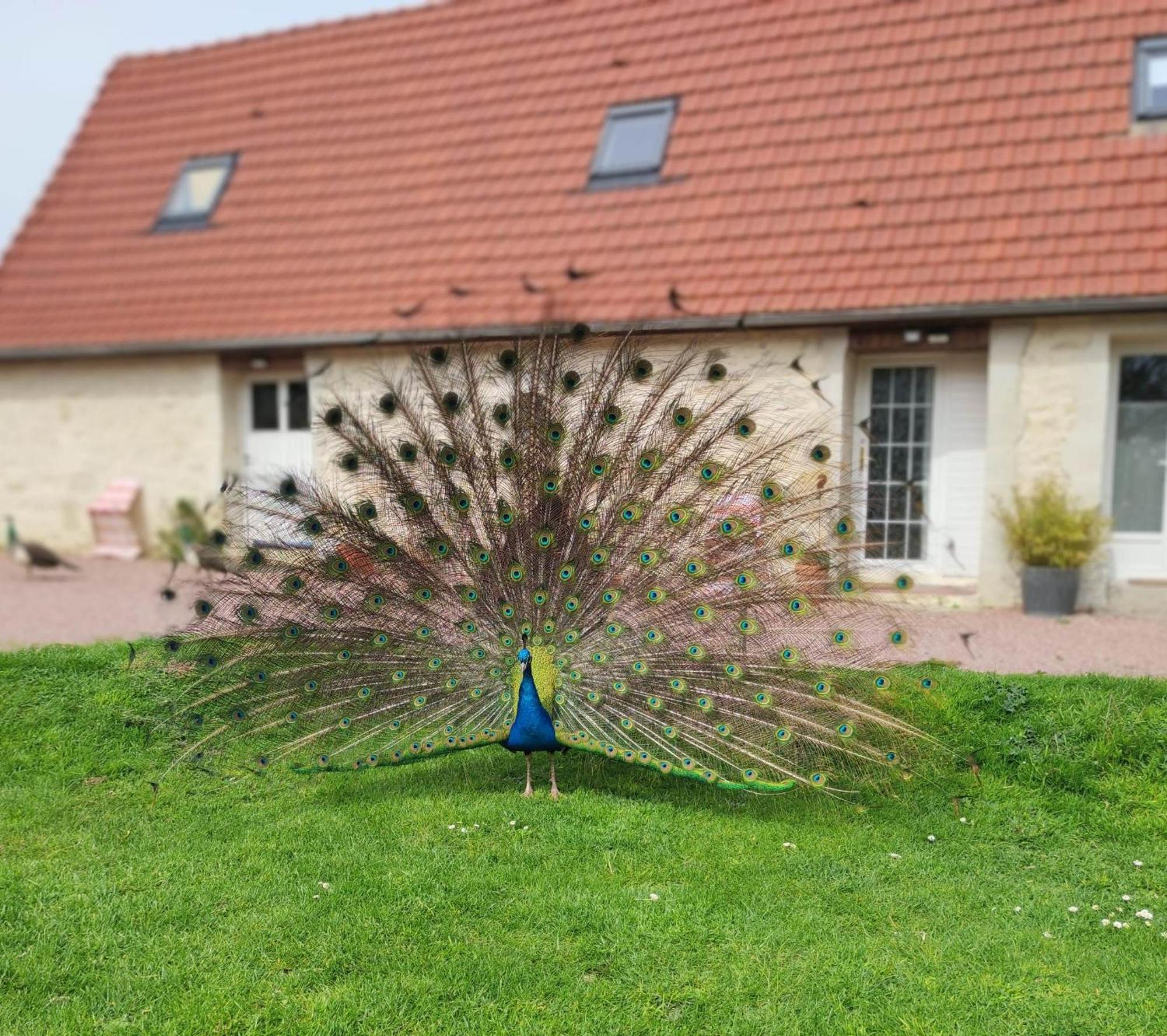 La Ferme De Frevan Hébergement de vacances *