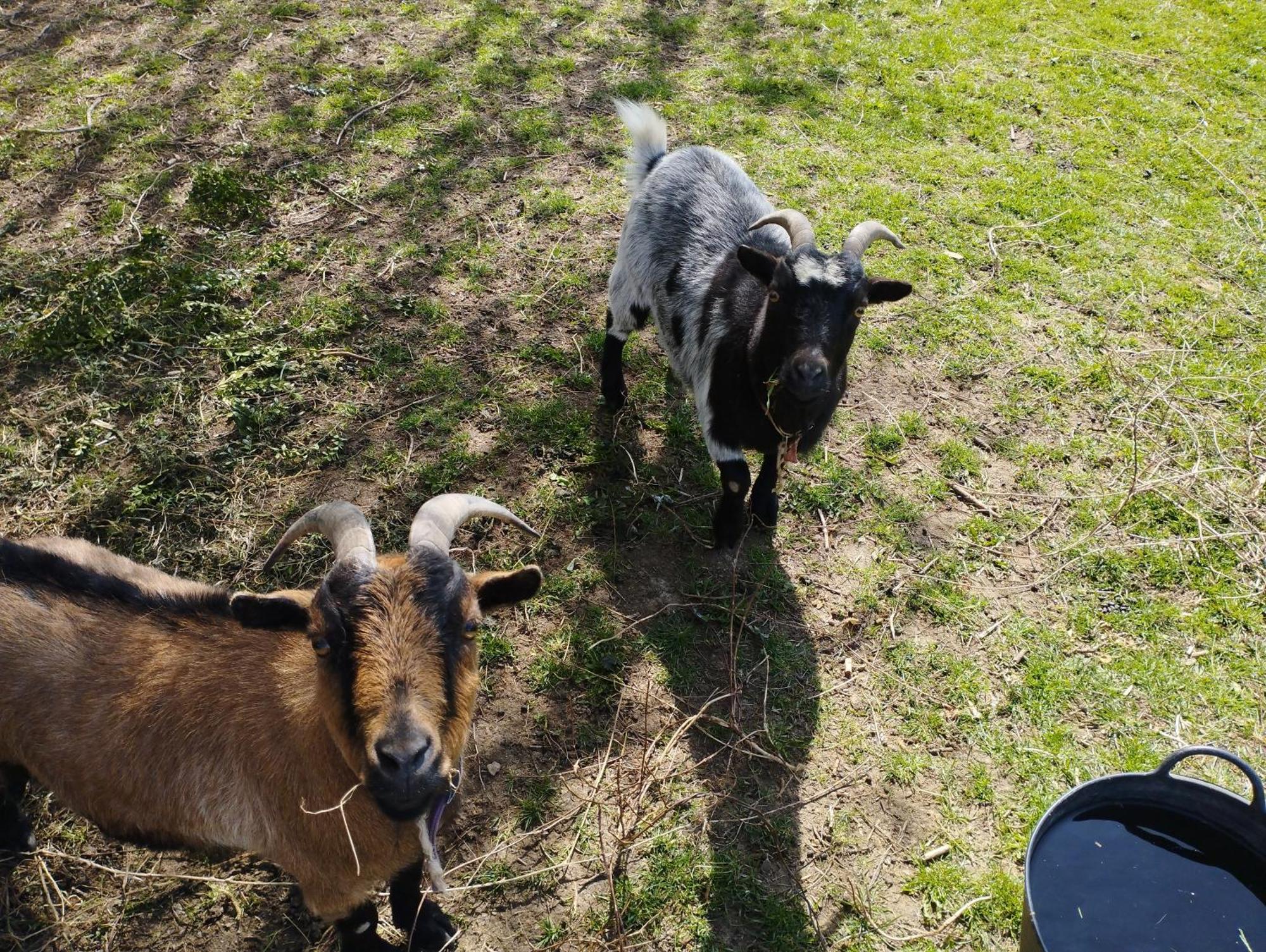 Hébergement de vacances La Ferme De Frevan *
