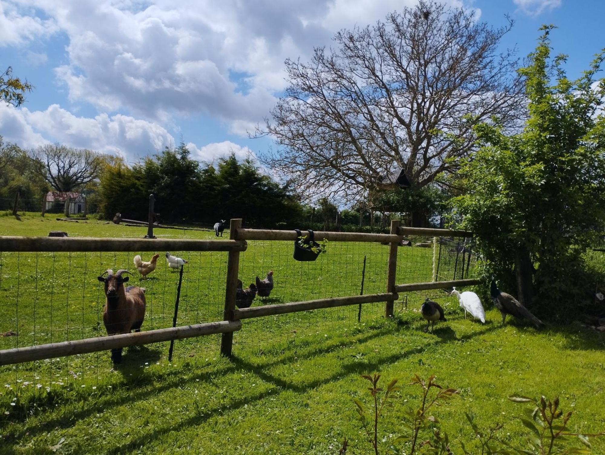 La Ferme De Frevan